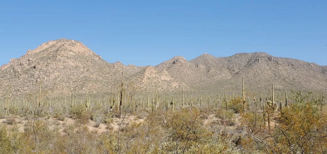 The quintessential Tucson desert view @ the Arizona-Sonora Desert Museum