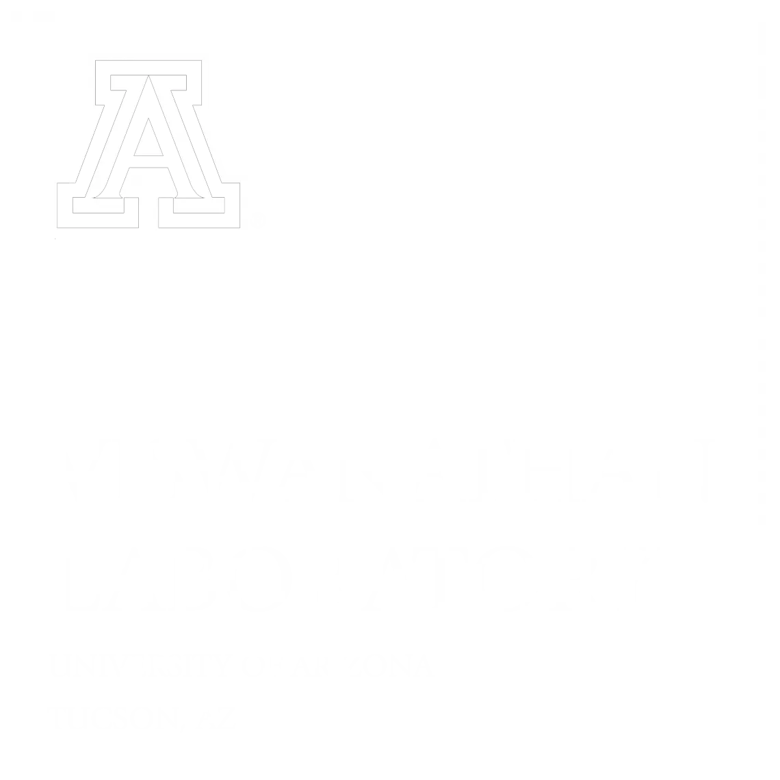 Viswanathan lab logo