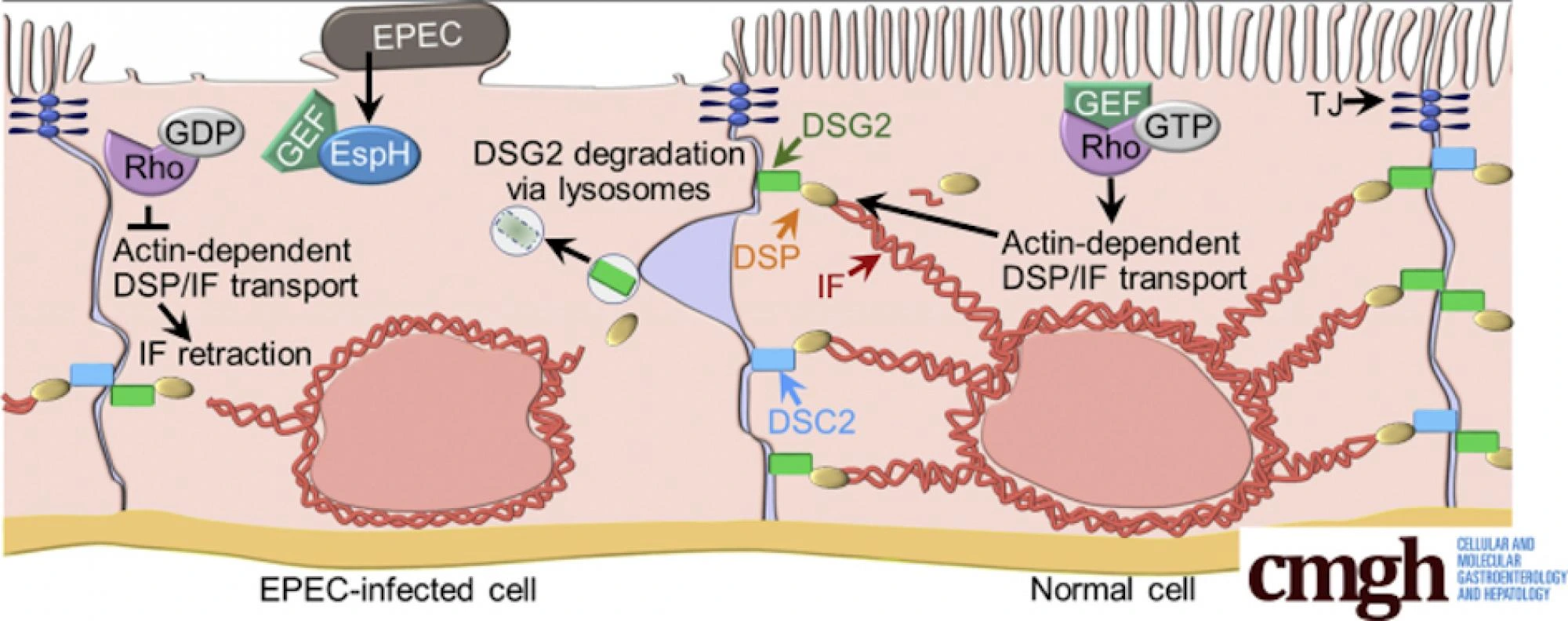 scientific photograph